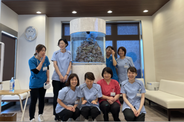 くらげ整形外科 柔道整復師 鍼灸師 千葉市 求人id のバイト アルバイトの求人情報 アルバイトex