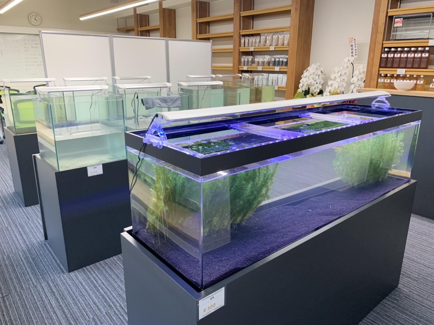 社会福祉法人 幸知会 下野市の正社員求人情報 月給 214 300円 3 0 職業指導員 託児所あり 賞与年3回あり 5ヶ月分以上 土日休み 下野市 Dジョブ